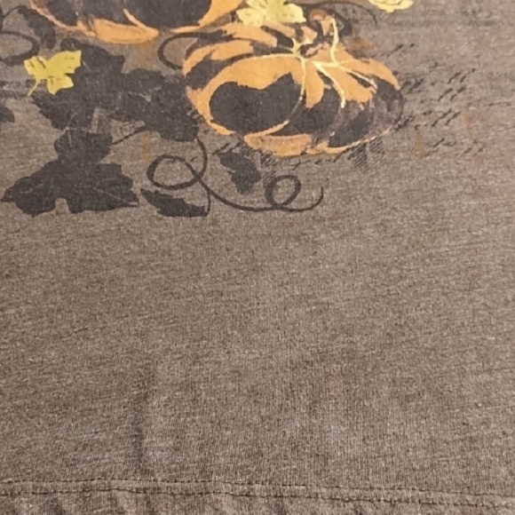 Fall Autumn Pumpkin Graphic Tee Shirt Top - Picture 5 of 13